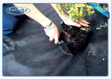 Cubierta no tejida negra de la agricultura del control de malas hierbas del rollo resistente amistoso degradable de la tela