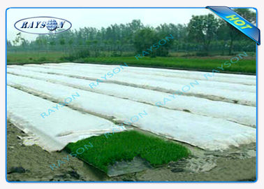 Tela no tejida ULTRAVIOLETA anti del paisaje de los PP Spunbond para la cubierta de la planta de la agricultura