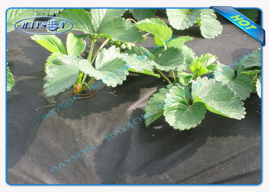 Cubierta no tejida resistente biodegradable de Agricultrual en el color negro 1.5OZ 40gsm a 100gsm