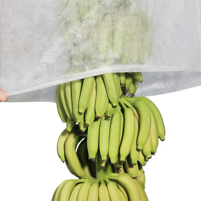 bolsos no tejidos ULTRAVIOLETA no tejidos del plátano de la cubierta de la agricultura 17gram que cortan 100pcs por la bolsa de plástico