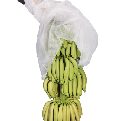 bolsos no tejidos ULTRAVIOLETA no tejidos del plátano de la cubierta de la agricultura 17gram que cortan 100pcs por la bolsa de plástico
