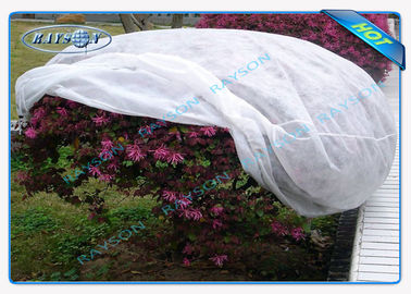 Cubierta no tejida en conserva de la agricultura de la planta para frío - protección de la prueba