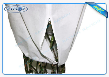 Tela no tejida no tejida del material del bolso de la tela de la cubierta de la agricultura de los PP Spunbond