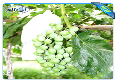 Bolso no tejido disponible de la protección de la fruta del OEM para la talla 20 cm los 22cm de la uva
