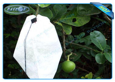 La planta no tejida de Agiculture crece los bolsos para el crecimiento de la fruta y la protección, patata crece bolsos