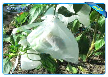 La planta no tejida de Agiculture crece los bolsos para el crecimiento de la fruta y la protección, patata crece bolsos