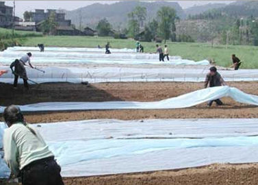 Tela no tejida transparente del paisaje de Spunbond para la cubierta de la planta de la agricultura