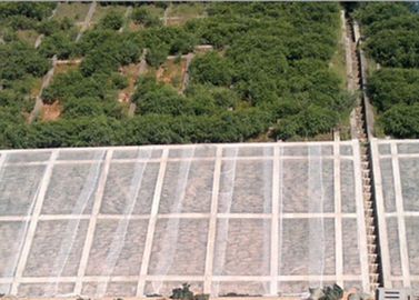 Tela no tejida transparente del paisaje de Spunbond para la cubierta de la planta de la agricultura