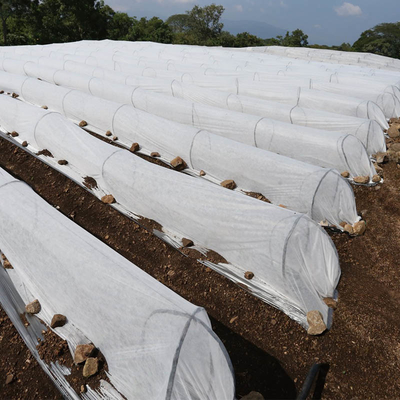 Tela no tejida de los 420cm de la agricultura ultravioleta anti de la anchura para la verdura