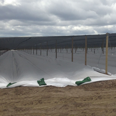 protección vegetal del helada de la hoja agra de la tela no tejida de 200gsm Spunbond para la cubierta al aire libre de la planta
