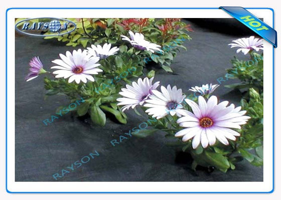 La protección ULTRAVIOLETA del 3% 10 años garantiza la cubierta no tejida agrícola Spunbond en color negro