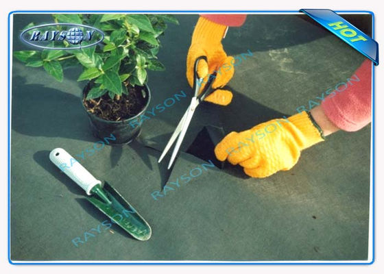 La protección ULTRAVIOLETA del 3% 10 años garantiza la cubierta no tejida agrícola Spunbond en color negro