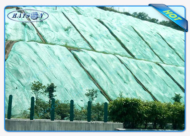Tela Anti-ULTRAVIOLETA durable del control de malas hierbas del jardín/tela no tejida agrícola