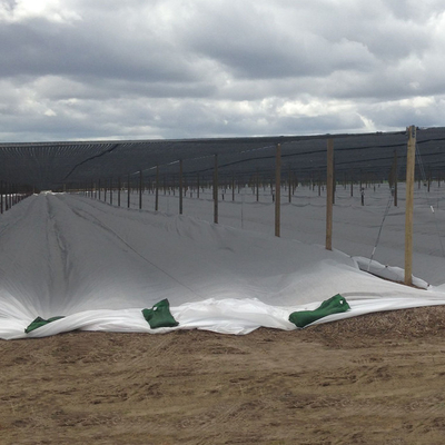 Tela no tejida fresca de Spunbond del polipropileno del 100% para el peso ligero de la agricultura